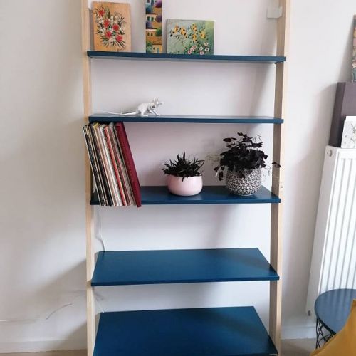 Just, Będzin Just, Będzin