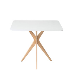 Rechteckiger Esstisch JUBI 55x80cm Weiß